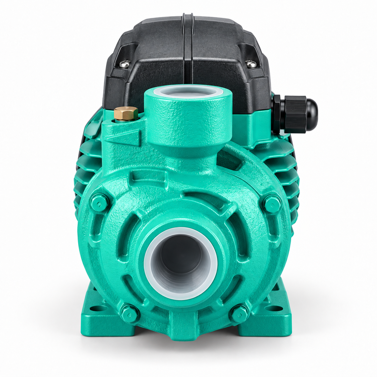 Bomba Periférica LEO APm110 1,5 HP 220V – 70 L/min